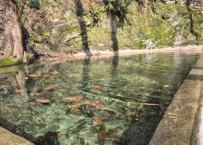 Nature Dans Les Cevennes * Saint-Germain-de-Calberte